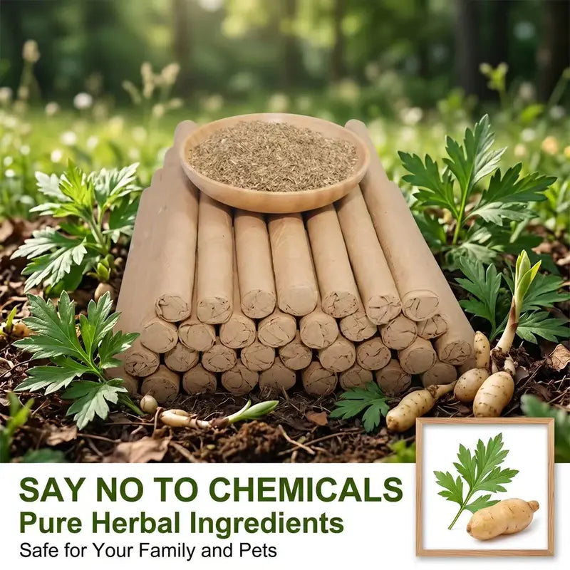 Pack of 10 organic mugwort and gastrodia aroma sticks; includes a wooden base