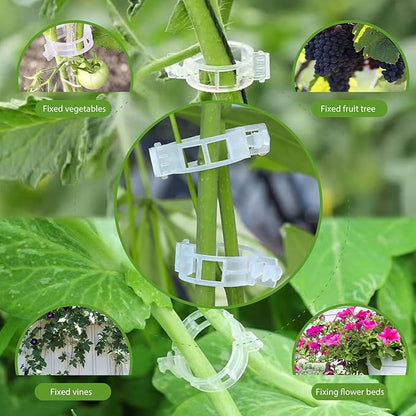 100 Pcs Plastic Trellis Plant Support Clips for Support, Grape and Tomato Vine, Vegetables Plants