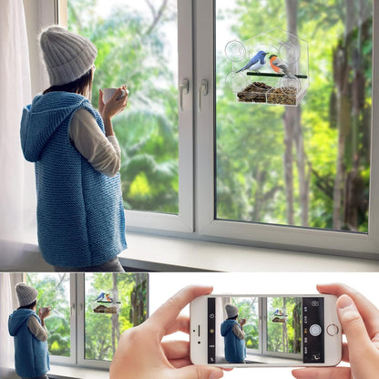 Acrylic Window Bird Feeder with 4 Strong Suction Cups