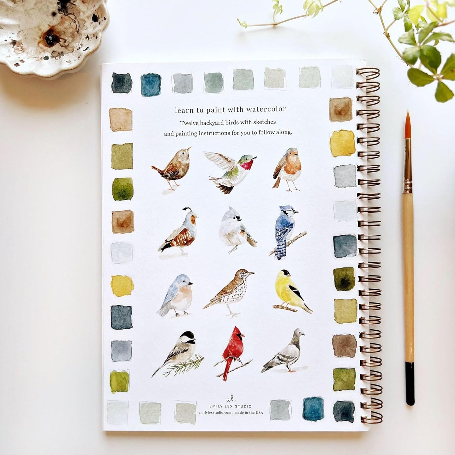 Watercolor Workbook Paint Set with 12 Watercolor Paints & A Brush