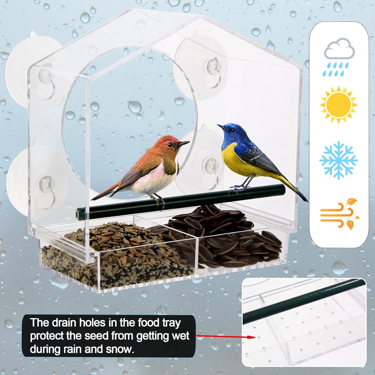 Acrylic Window Bird Feeder with 4 Strong Suction Cups