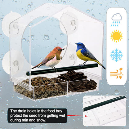 Acrylic Window Bird Feeder with 4 Strong Suction Cups