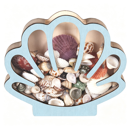 Wooden Seashell Display Case with Clear Window