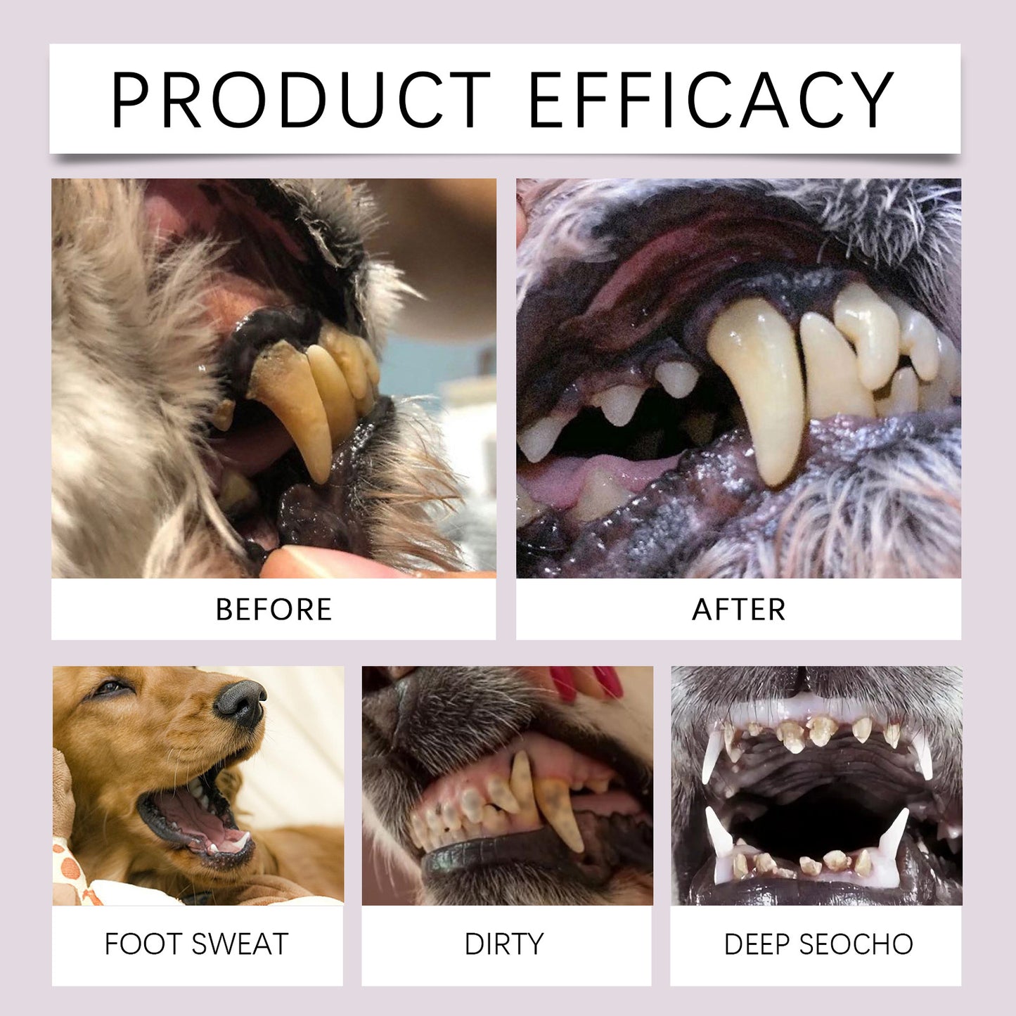 2PCS Pet-specific dental cleaning toothbrush