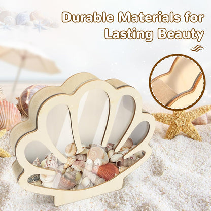 Wooden Seashell Display Case with Clear Window