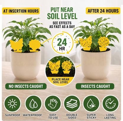 30 Pack Yellow Sticky Traps, Fungus Gnat Traps