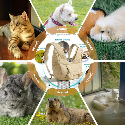 Pet Carrier Vest – Hands-Free Comfort for Small Dogs and Cats