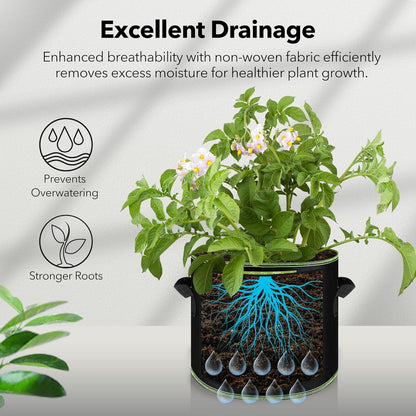 3Pcs 5 Gallon Fabric Plant Bag，Planter Bags with Handles