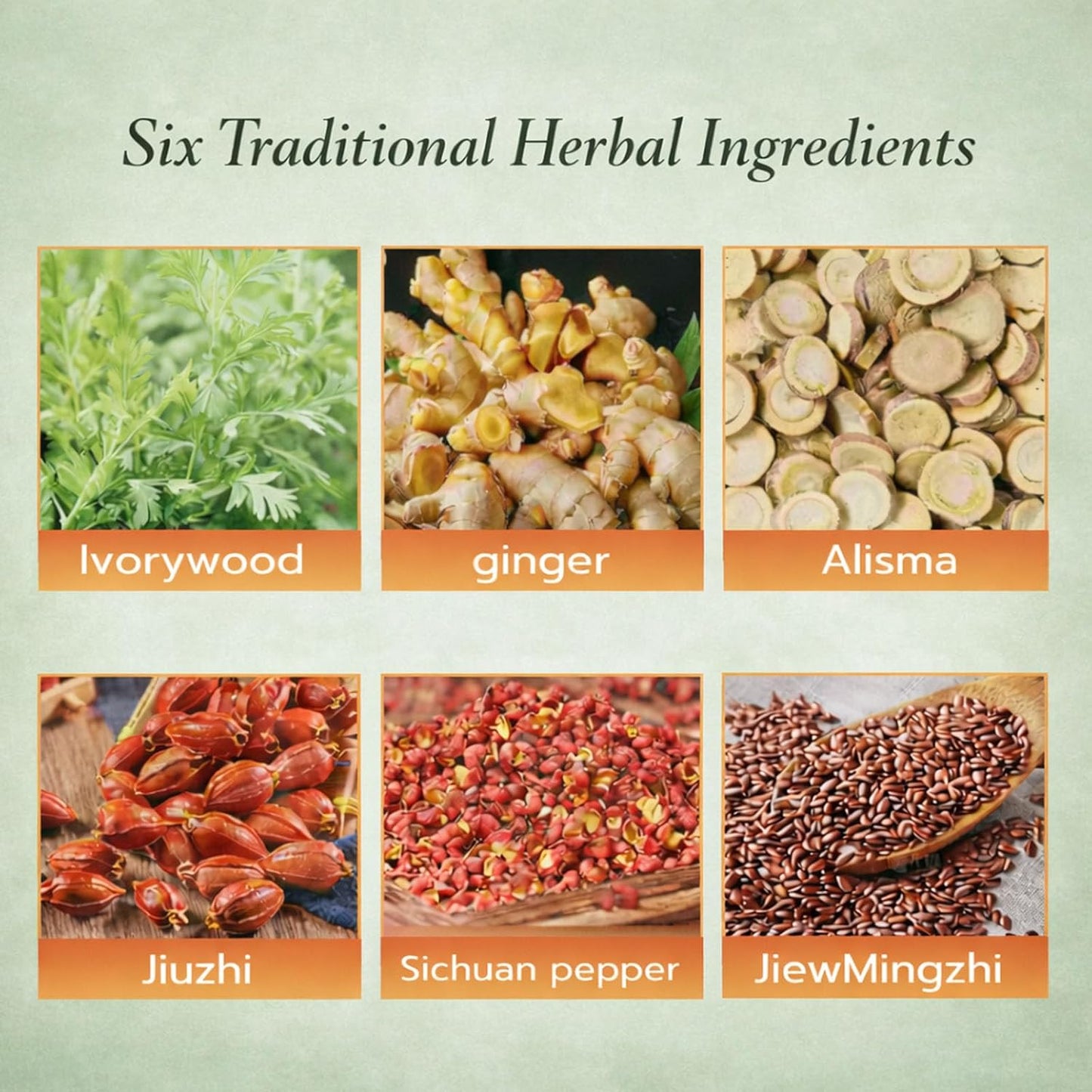 Japanese Herbal Balance Patch -  Plant-Based Ingredients, Comfortable Adhesive Design
