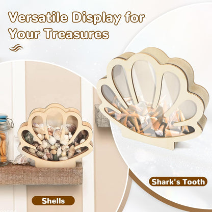Wooden Seashell Display Case with Clear Window