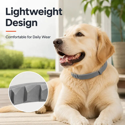 2PCS Adjustable pet collar