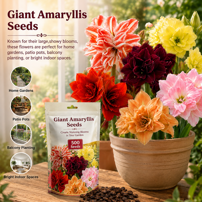 Hippeastrum Seeds - Giant AmaryllisBlooms