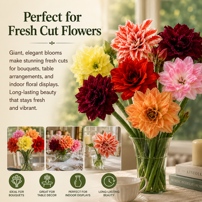 Hippeastrum Seeds - Giant AmaryllisBlooms