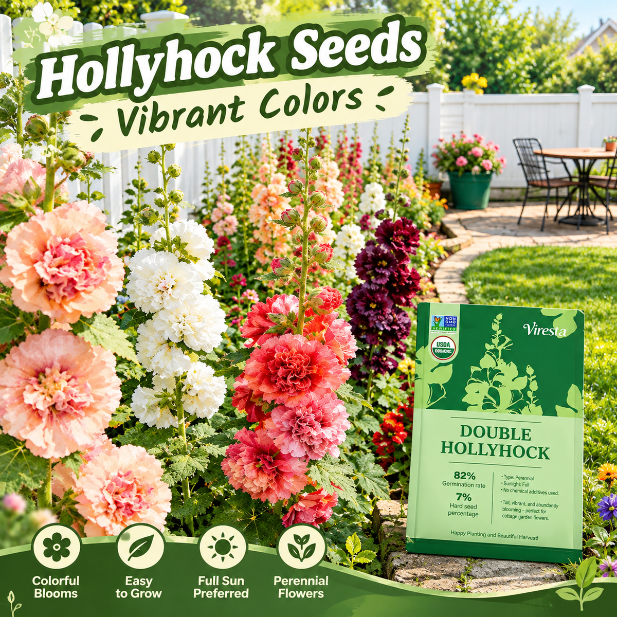 Vibrant and Beautiful Hollyhocks—Tall, Colorful Flowers