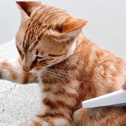 2 Pack Multifunctional Pet Comb