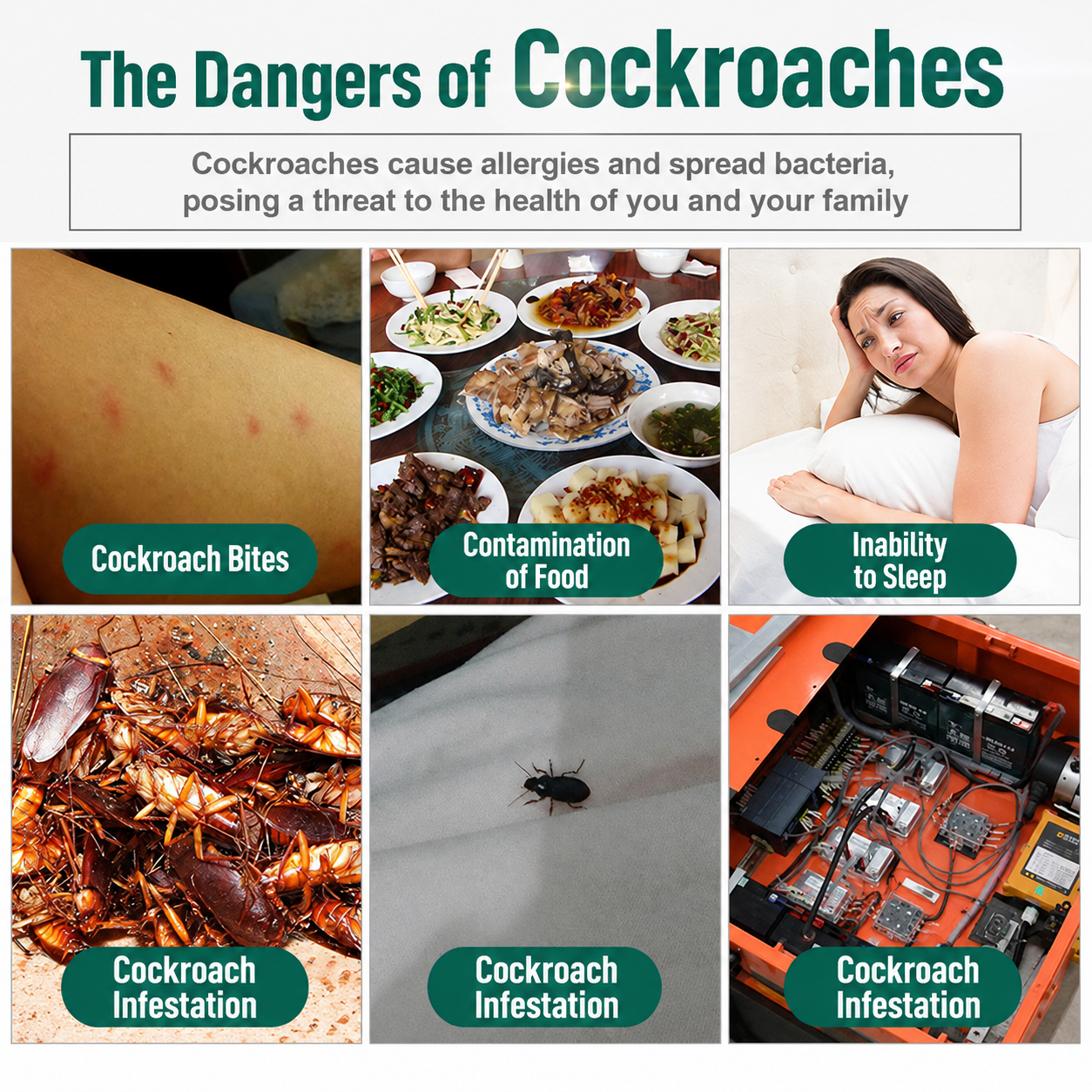 20PCS Cockroach killing Bait powder