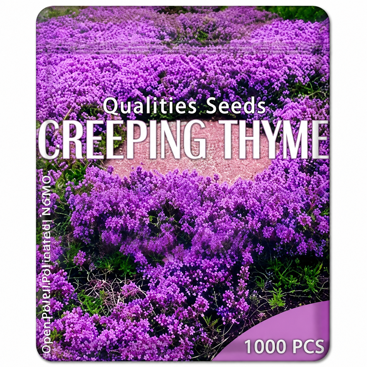 1,000 Creeping Thyme Seeds, Perennial Ground Cover