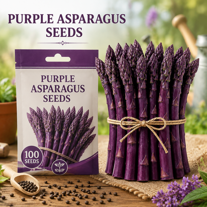Purple Asparagus Seeds