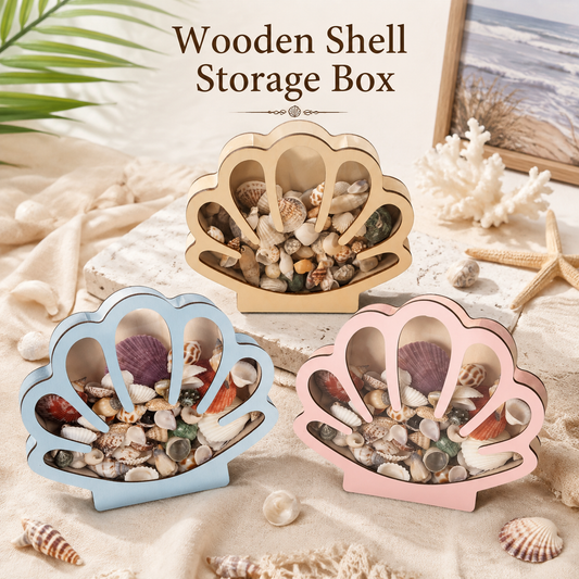 Wooden Seashell Display Case with Clear Window