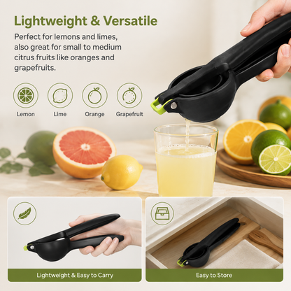 Professional manual juicer