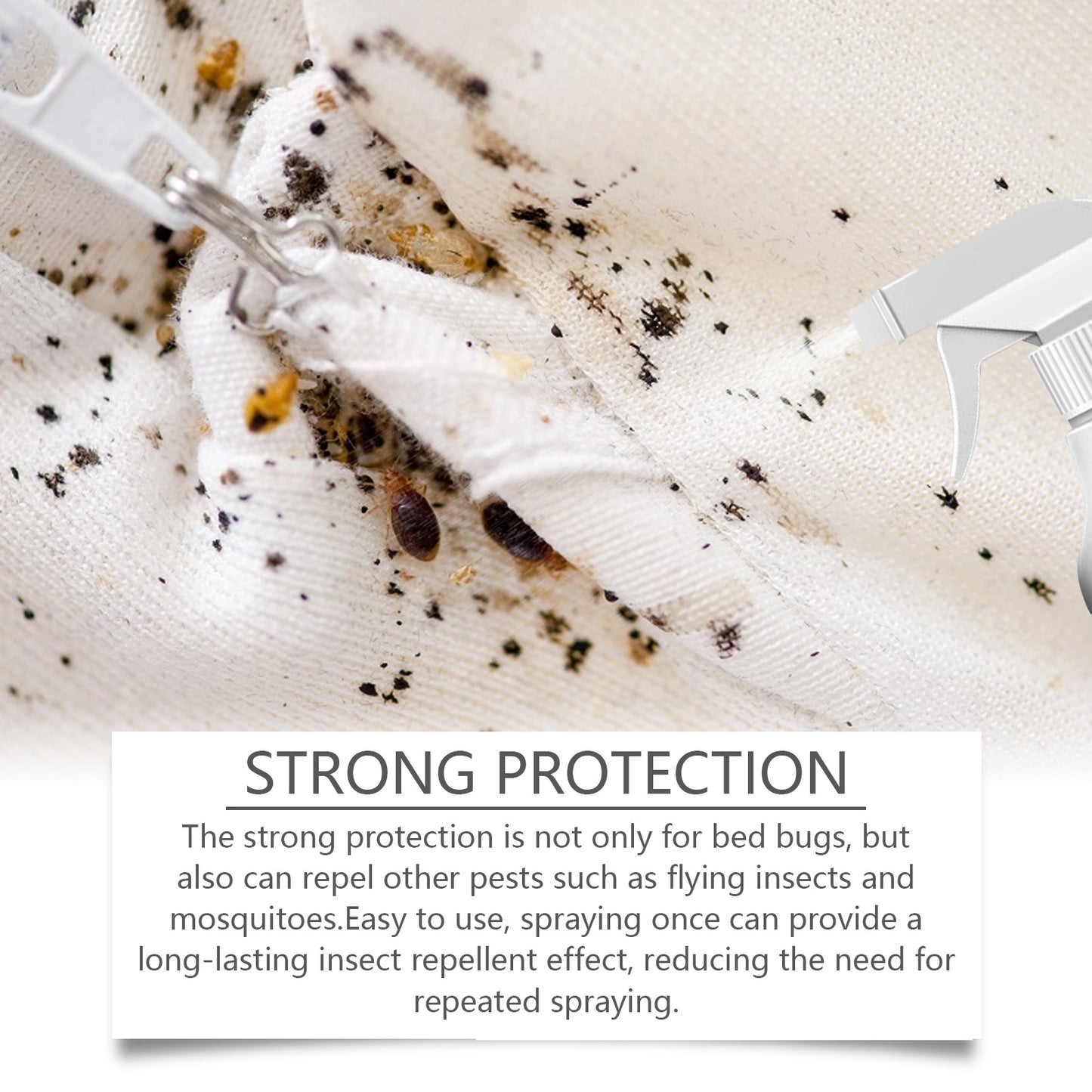 Bed Bug Killer Spray - Odorless and Non Staining Formula with Residual Protection