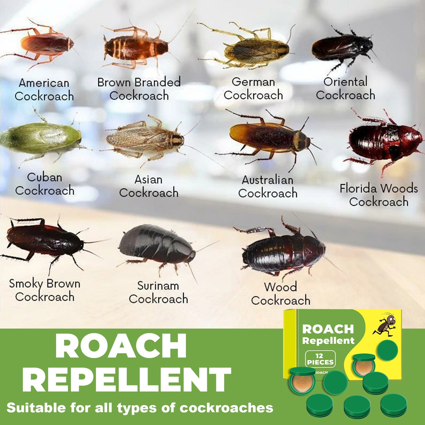 Cockroach Gel & Spray Roach Killer Repellent for Indoor & Outdoor Use