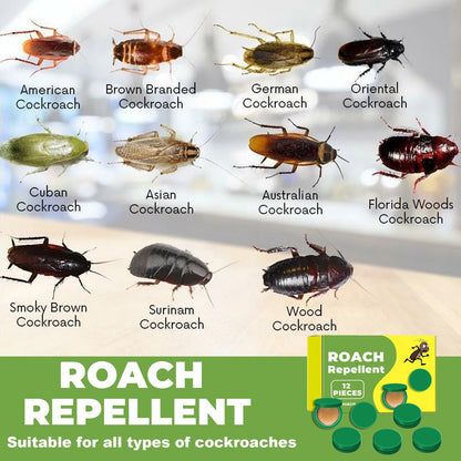 Cockroach Gel & Spray Roach Killer Repellent for Indoor & Outdoor Use
