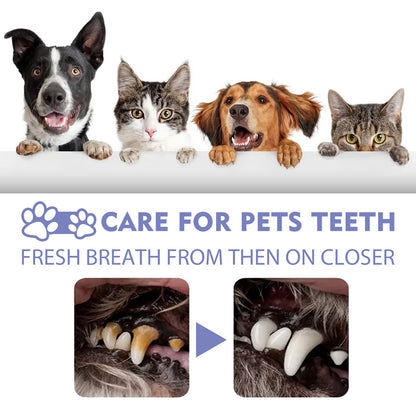 Teeth Cleaning Spray for Cats and Dogs, Removes Teeth Stains and Freshens Breath