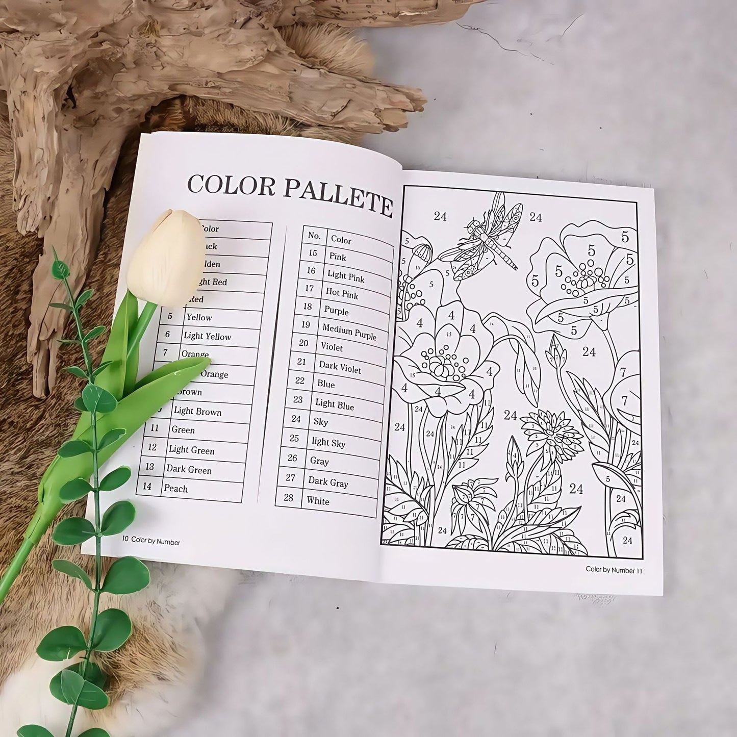 Color by Number for Adults, 2025 Update, Coloring Book, Stress Relief Activity, 8.27 x 5.51 Inches