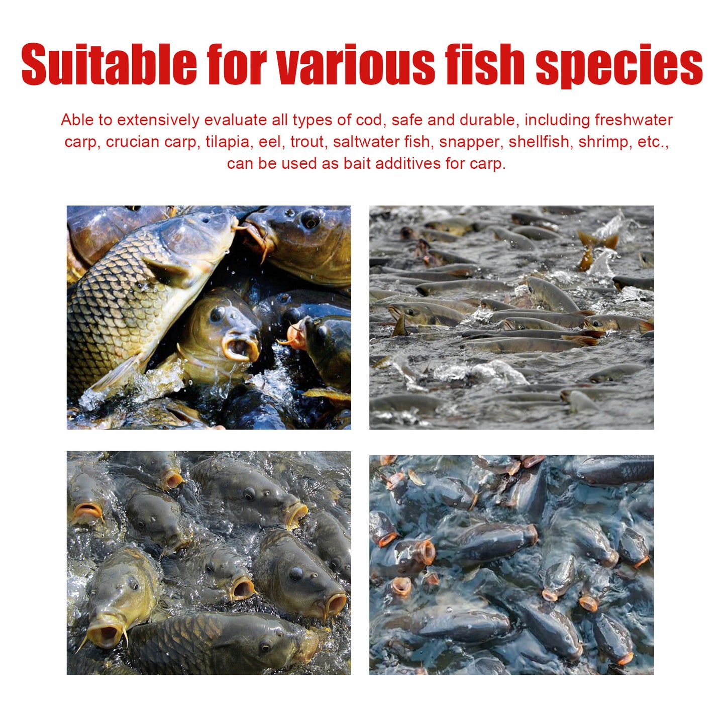 60ml Red Worm Scent Fish Attractants for Baits - Outdoor Fishing Bait Additive Liquid