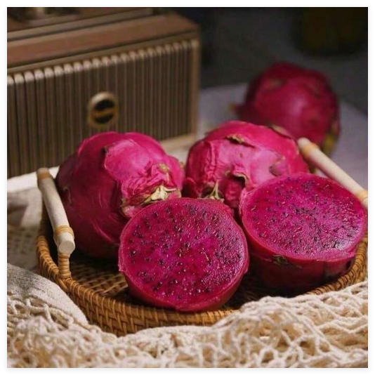 Delicious Dragon Fruit—Ideal for Home Gardening