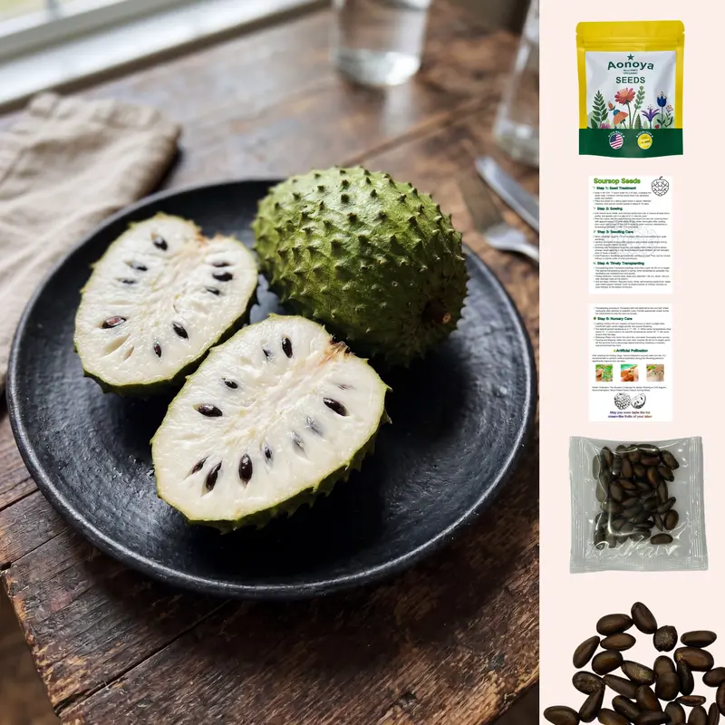Organic Soursop Seeds – 30pcs Non-GMO Heirloom Tropical Fruit seeds
